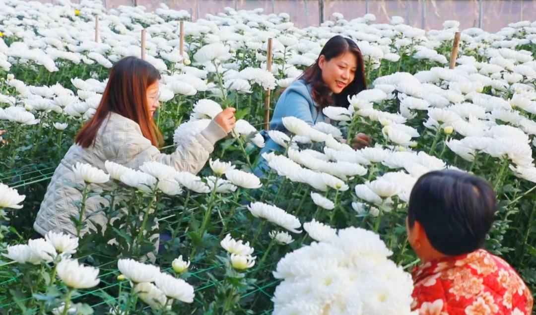 �F�ǅ^(q��)���ջ������M�ء���