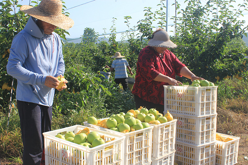 ��ó������Ѕ^(q��)ǰ�����@��(g��)���@������������