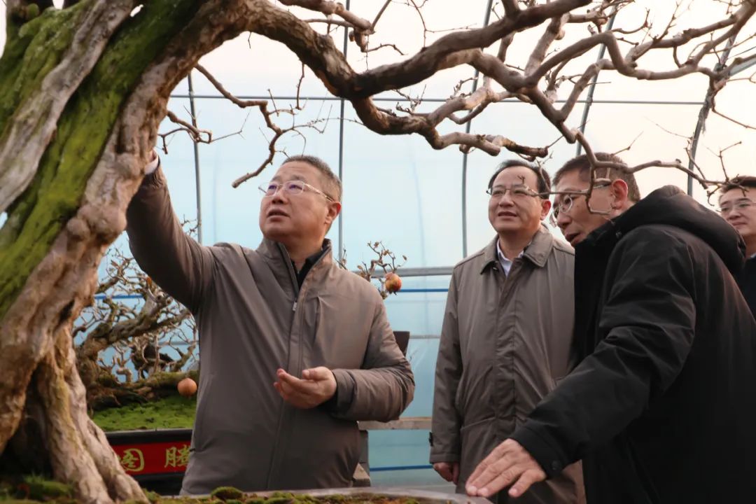 ���f��ί����ӛ������ί��ӛ�����ށ�F�ǅ^(q��)�{(di��o)��ʯ��a(ch��n)�I(y��)�l(f��)չ����